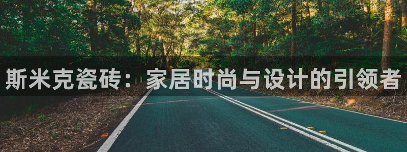 万事达娱乐股东