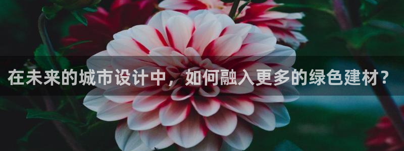 万事娱乐手机客户端官网