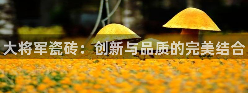 万事娱乐下载地址在哪